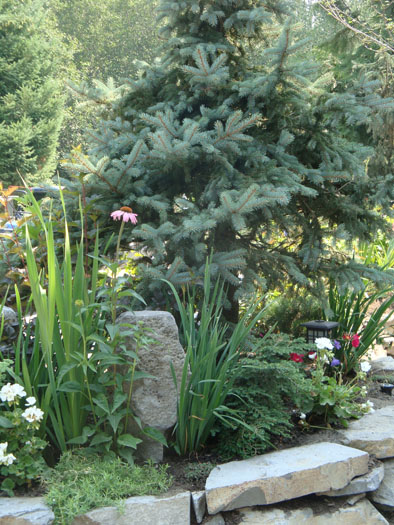 Whistler Cay Estates