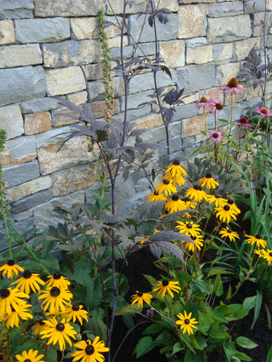 Whistler Cay Estates