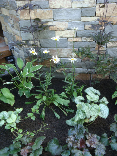 Whistler Cay Estates