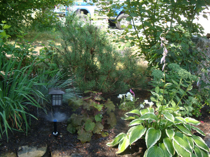 Whistler Cay Estates