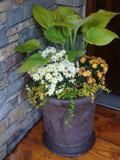 Whistler Cay Estates