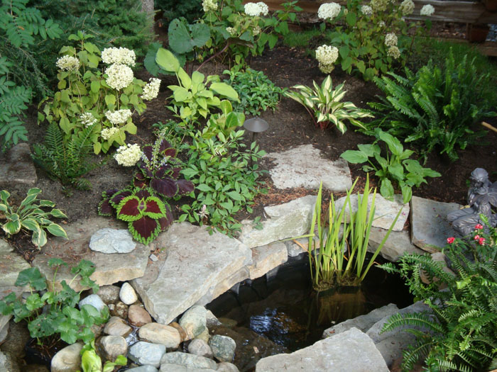 Whistler Cay Estates