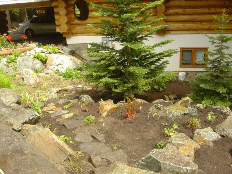 Mountain View Project