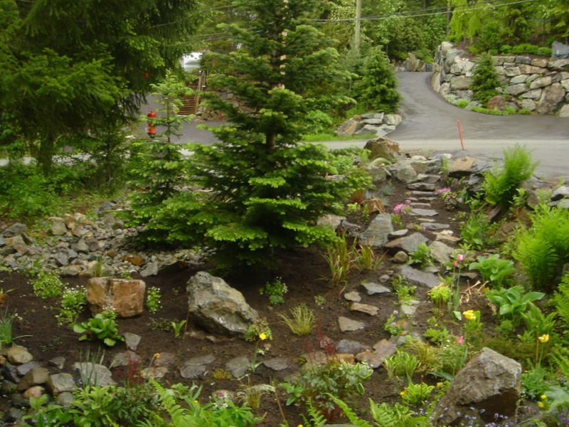 Mountain View Project