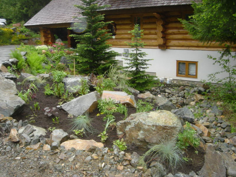 Mountain View Project