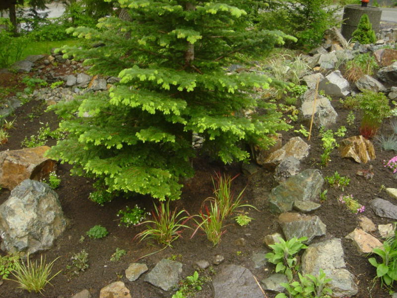 Mountain View Project