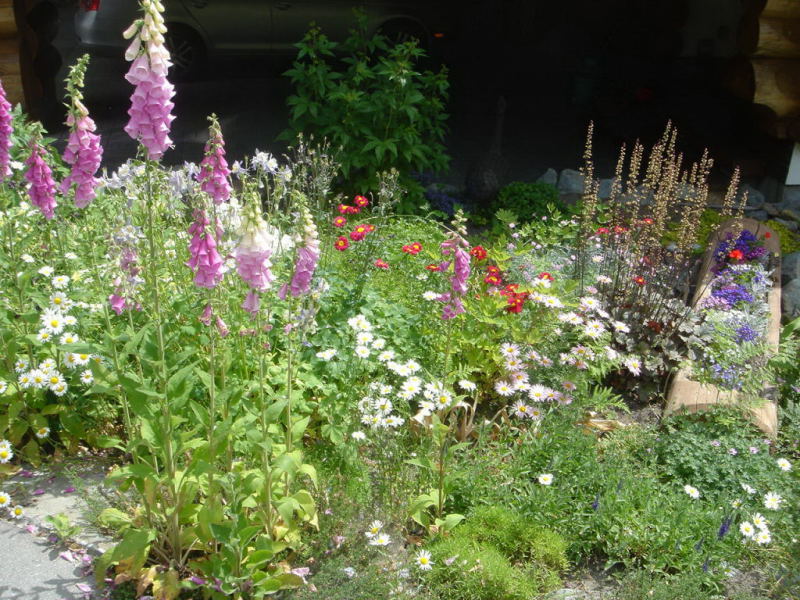 Mountain View Project