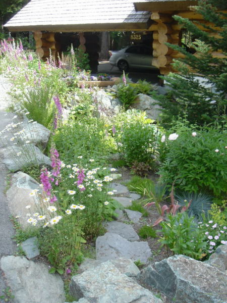 Mountain View Project