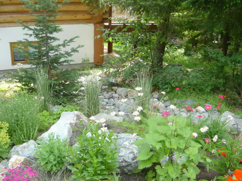 Mountain View Project