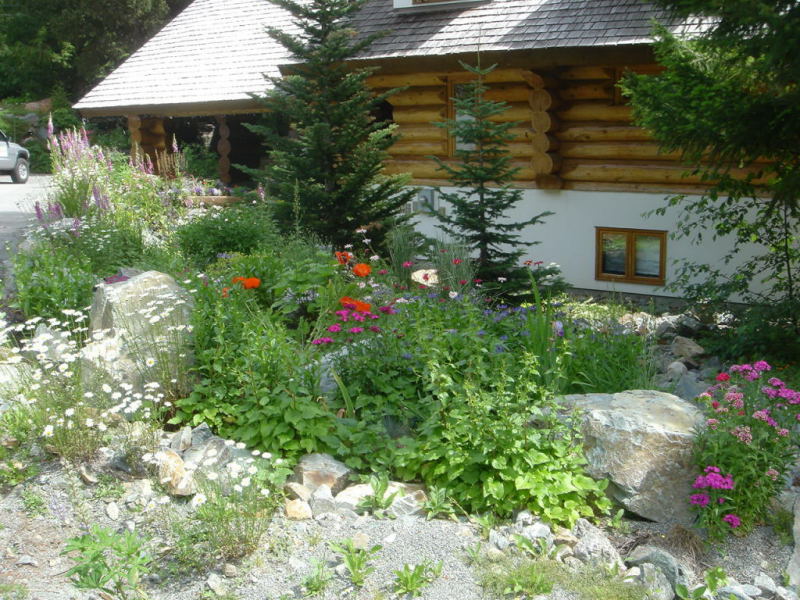 Mountain View Project