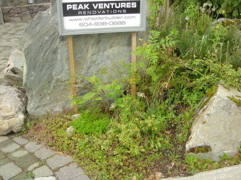 Peak Drive Project