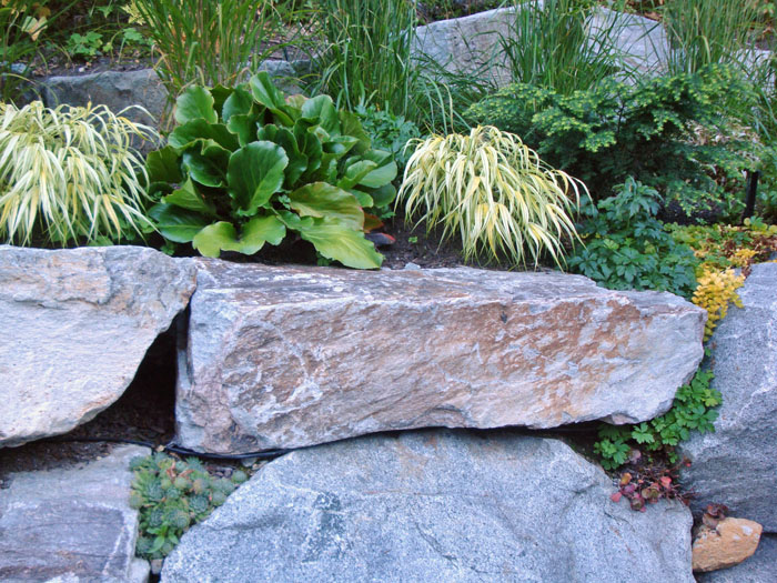 Valley Drive Project