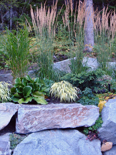 Valley Drive Project